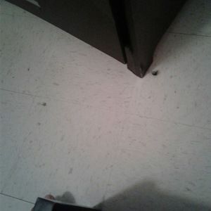 Meet your Posher, Joel